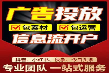 竞价排名的投放策略与效果评估案例